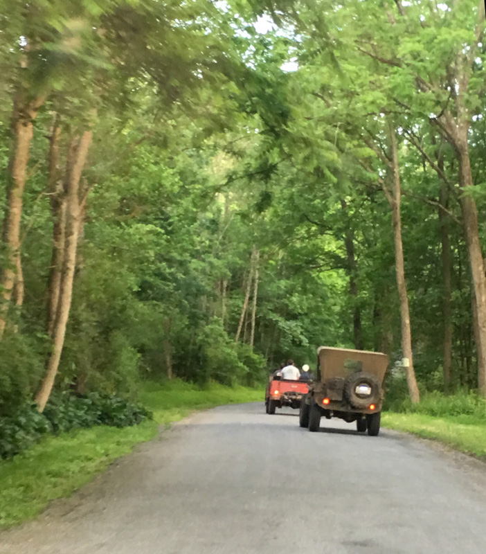 The Great Willys Picnic, Show and Swap Meet The CJ2A Page Forums Page 5