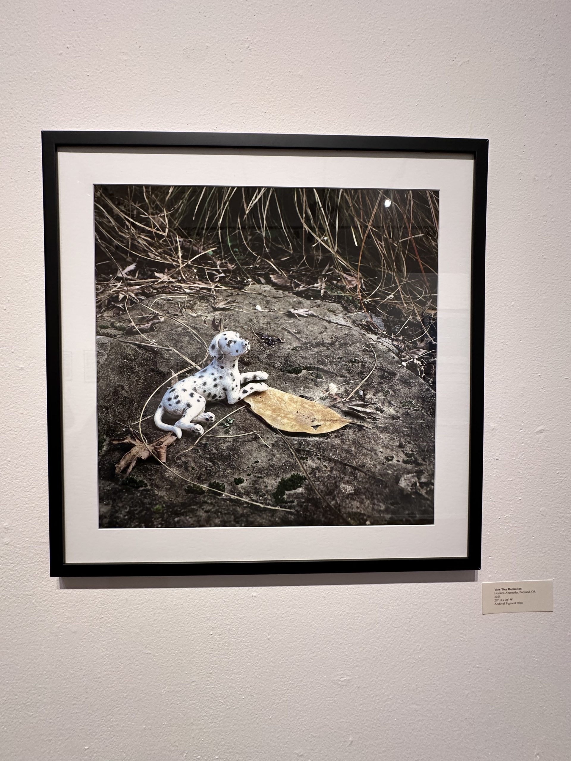 Reflective photography with Horatio Law The Clackamas Print