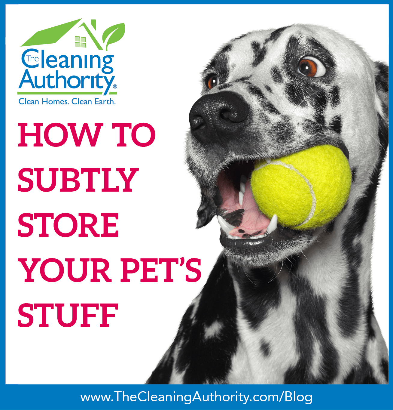 How to Subtly Store Your Pet’s Stuff