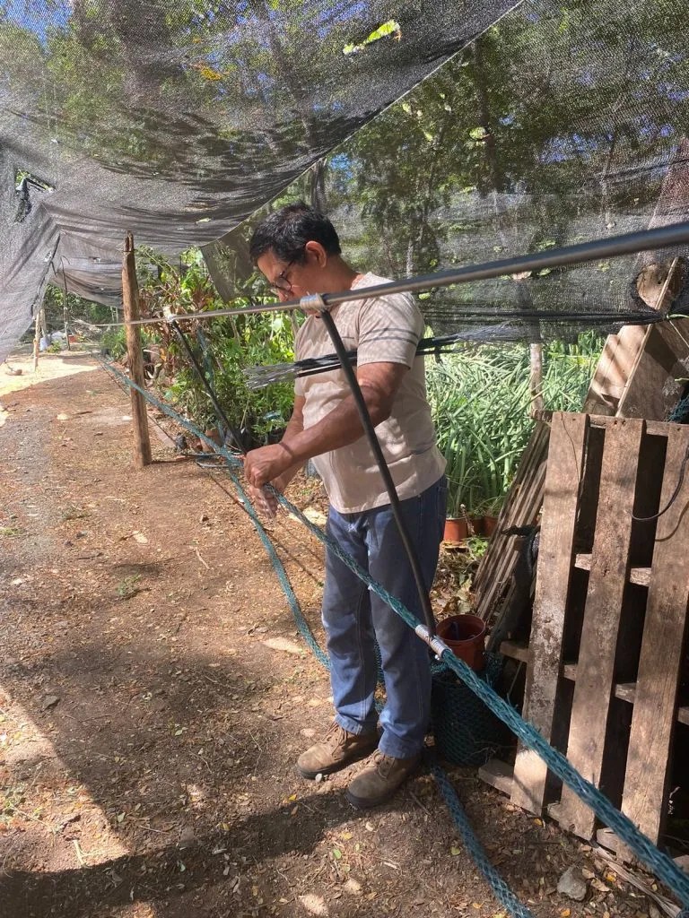 Monkey Bridges Fundación The Clean Wave