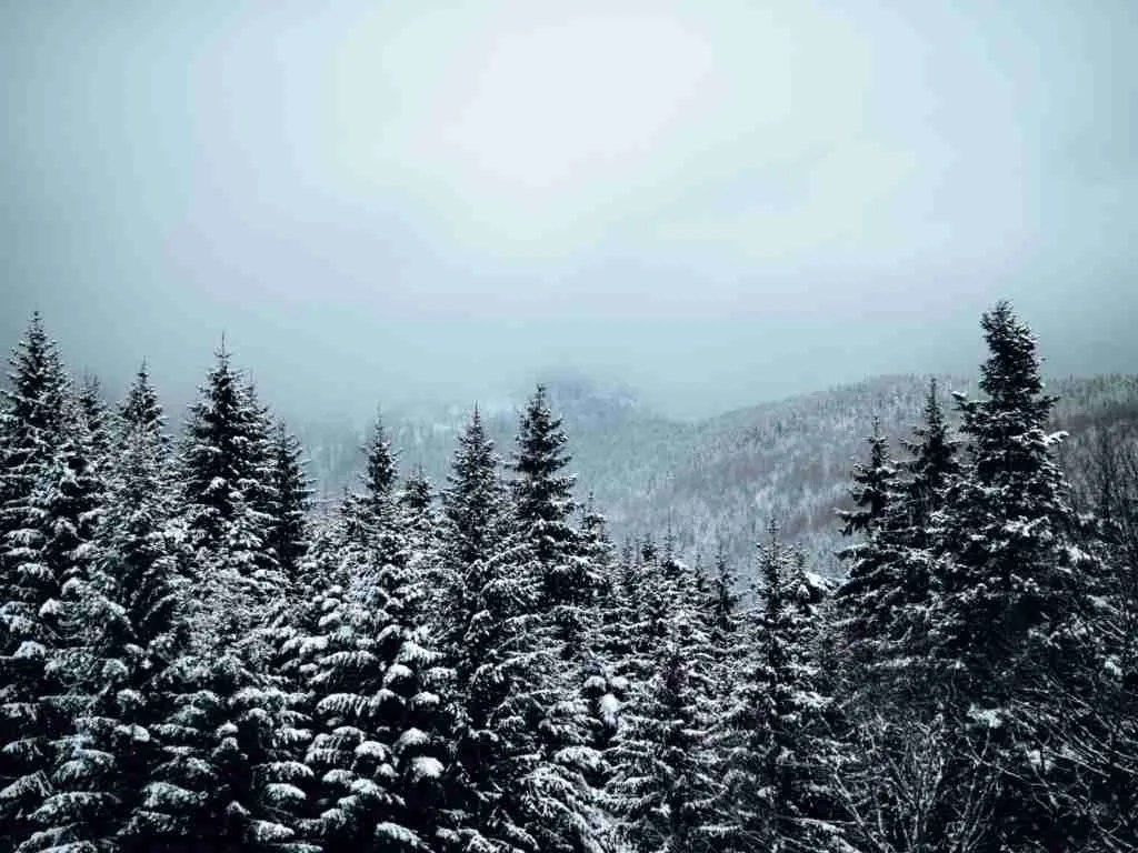 Does it snow in Oregon? The Clever West Wind