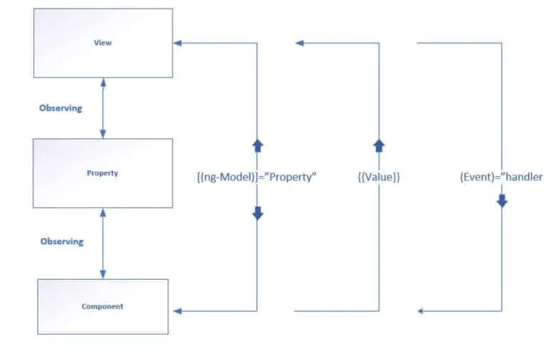 Data Binding in Angular 8 Forms TheCodeBuzz