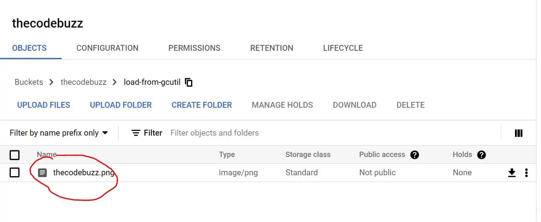 Upload, Download file Google Storage Bucket using gsutil TheCodeBuzz