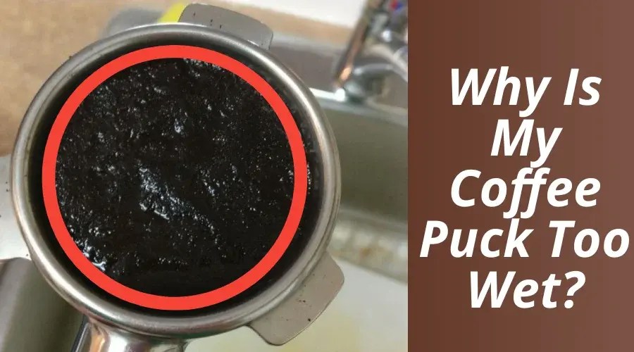 Wet Espresso Puck Here's How to Get That Perfect Dry Puck