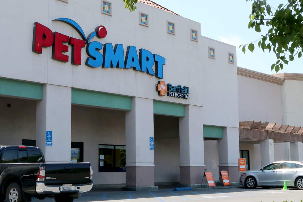 What Is PetSmart’s Fish Return Policy? (Updated 2023)