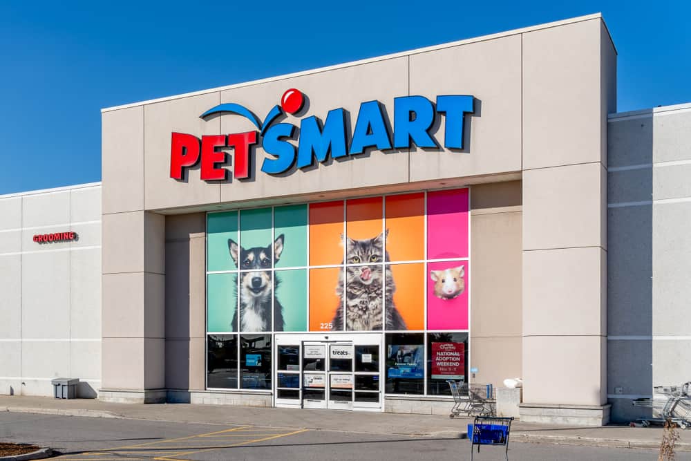 What Is PetSmart’s Fish Return Policy? (Updated 2023)