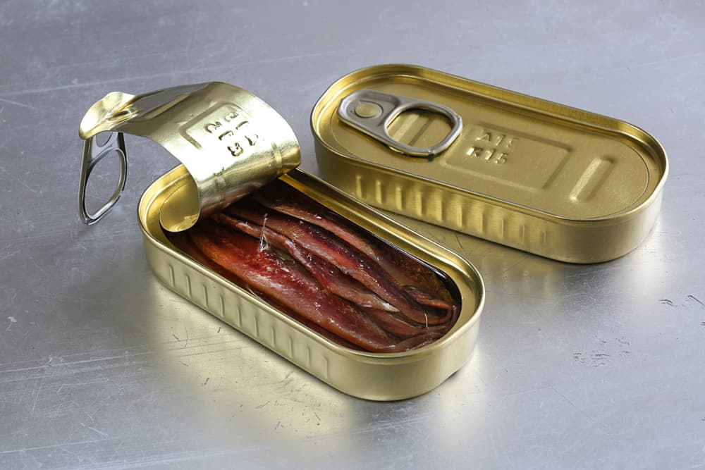 Why Are Anchovies So Expensive? (10 Reasons)