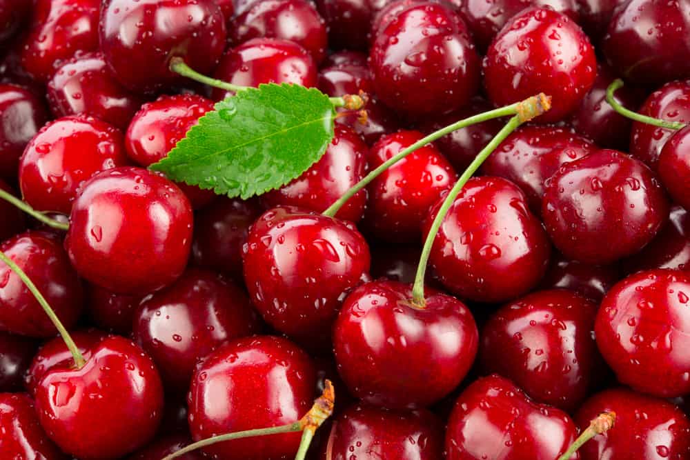 Why Are Cherries So Expensive? (Top 10 Reasons)