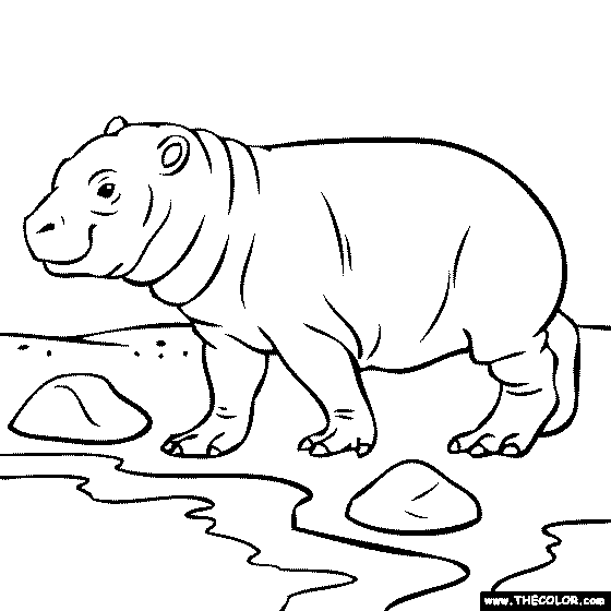 36+ Baby Hippo Coloring Pages