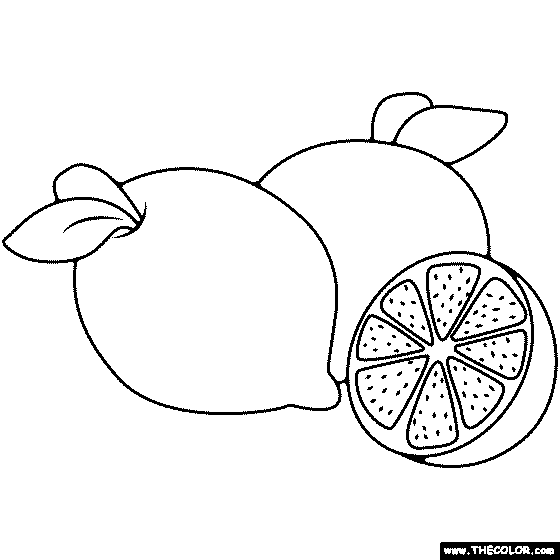 Limes Colouring Pages Sketch Coloring Page