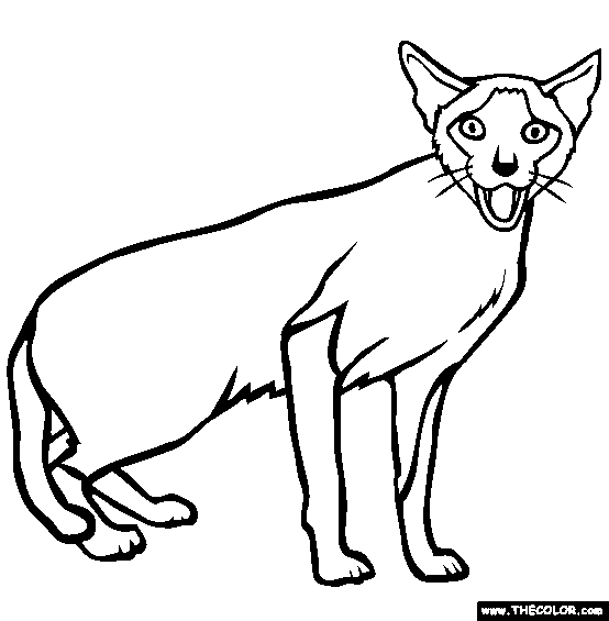 Cats Online Coloring Pages