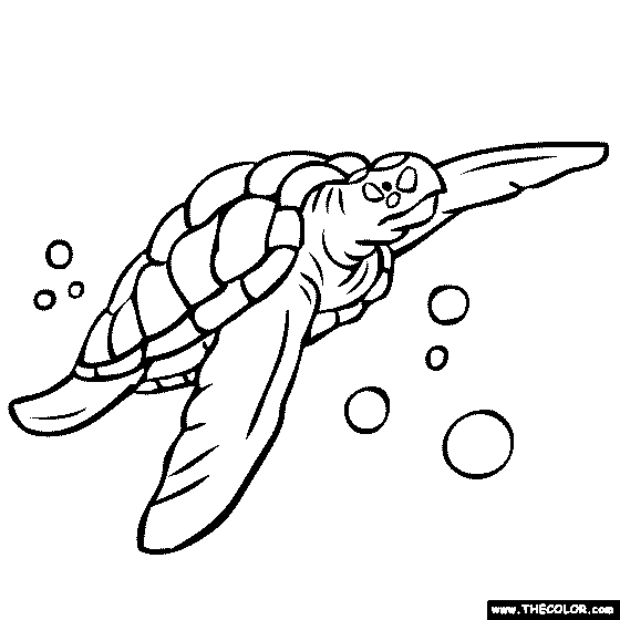 Sea Turtle Coloring Page