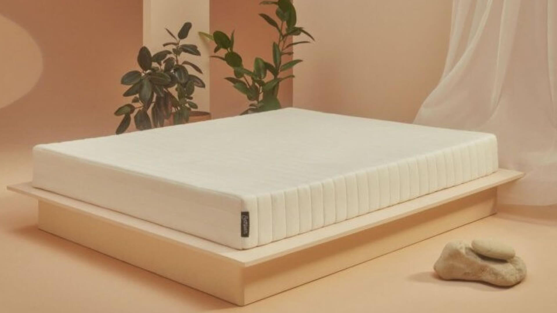 Earthfoam's sustainable mattresses are made with tree sap