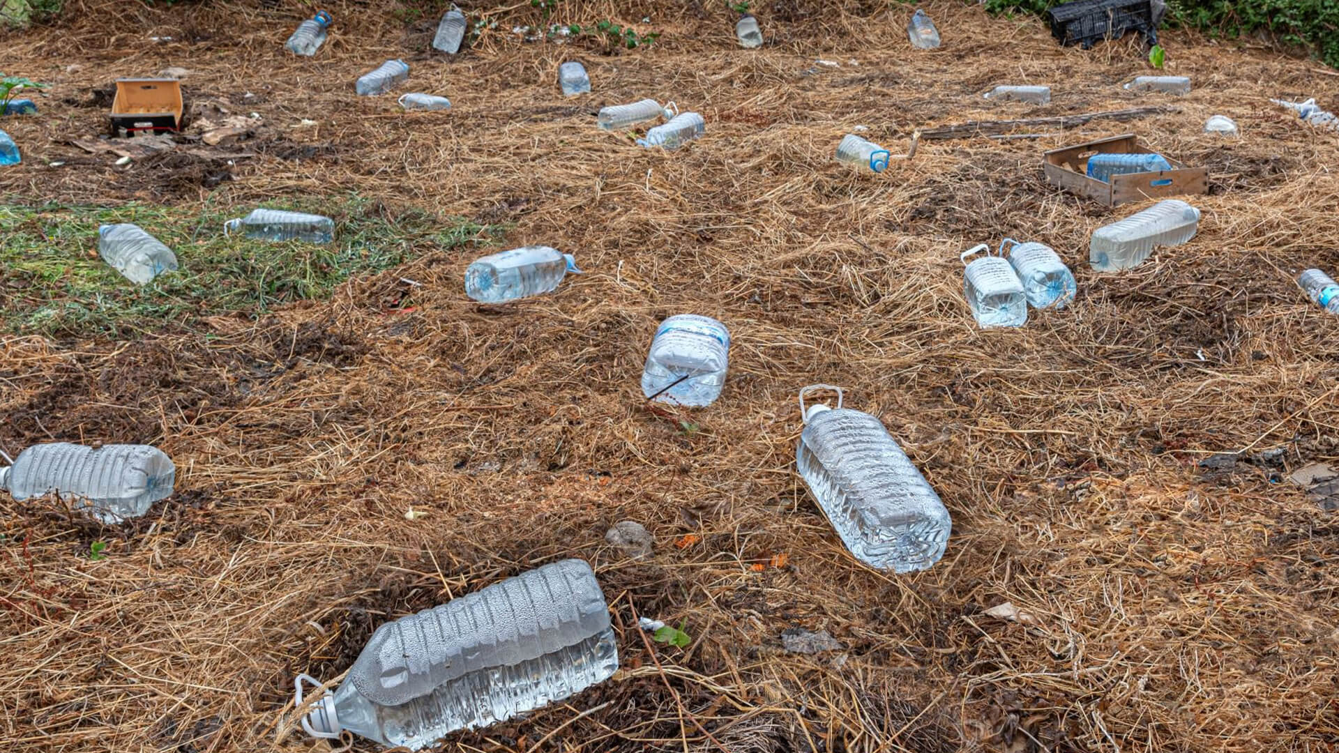 Most compostable plastic doesn't actually break down