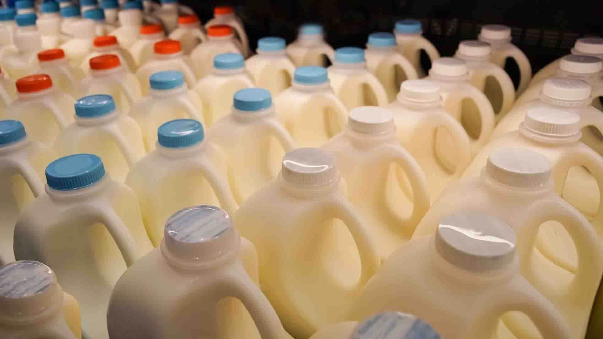 Schools are going green by swapping cartons for 'milk dispensers'