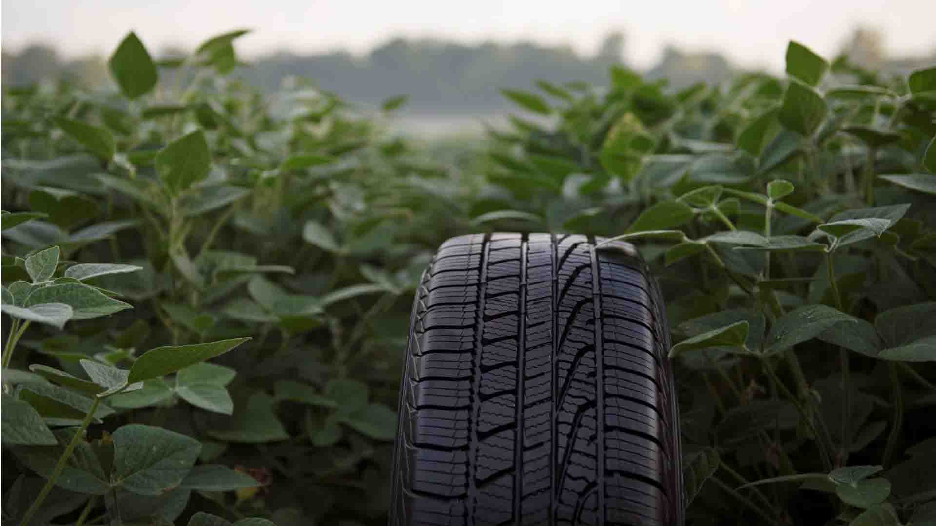 Goodyear announces new tire prototype made from soybeans