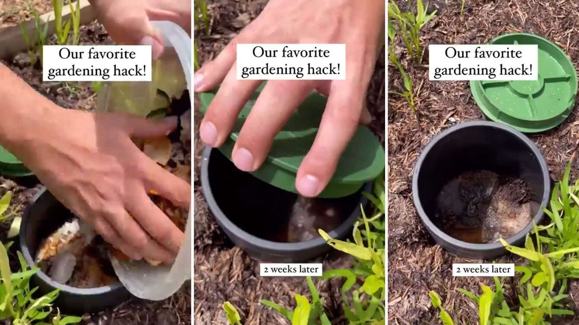 Gardeners reveals 6 solution to make backyard composting easy