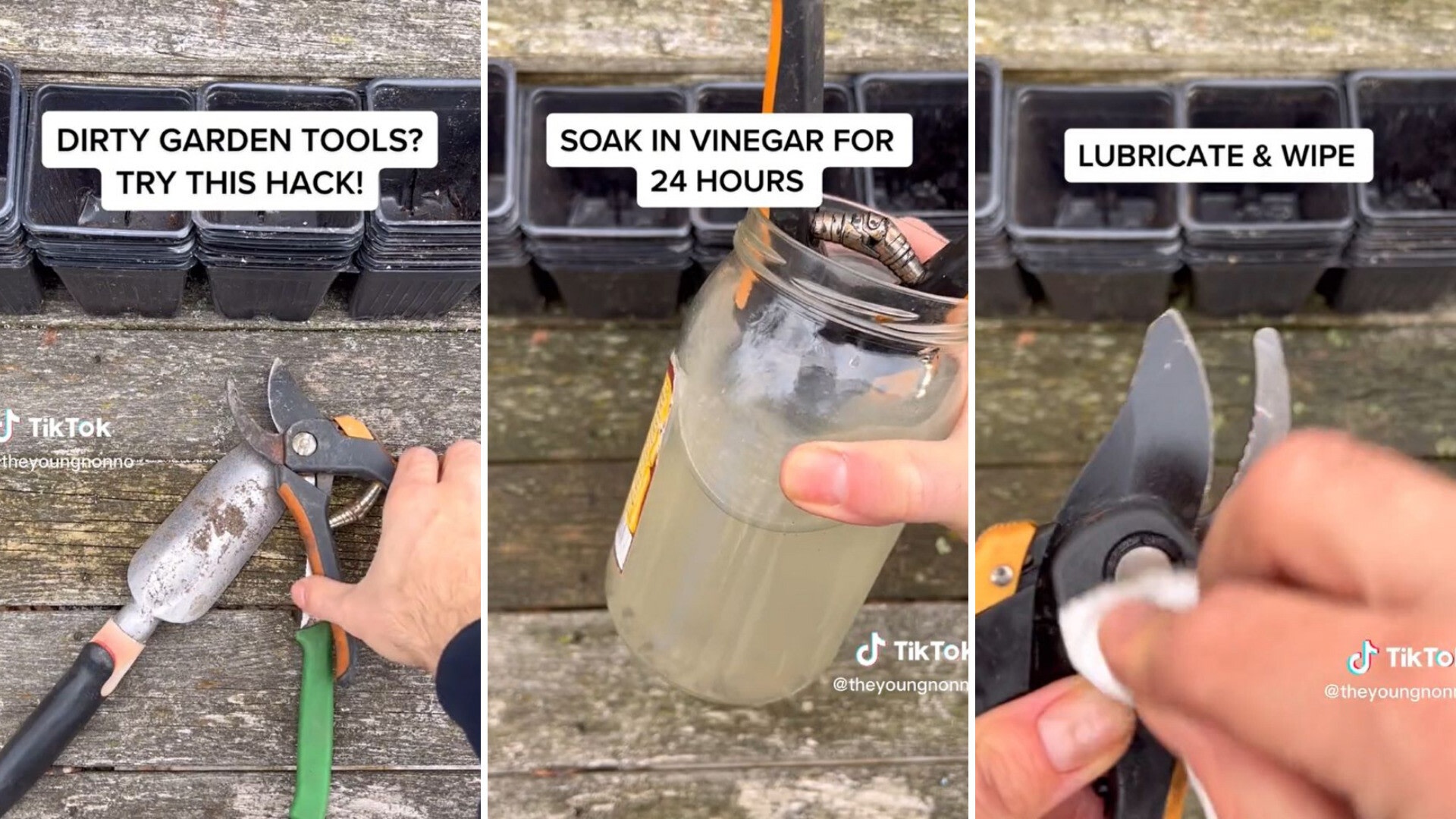 Gardener shares easy hack for cleaning dirty tools