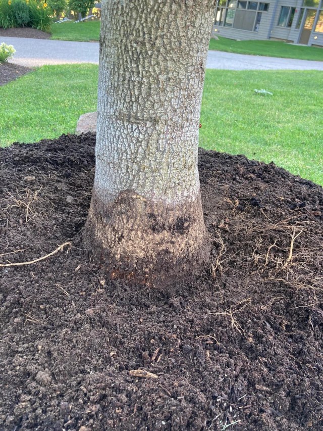 Resident questions groundskeepers' landscaping decision with concerning