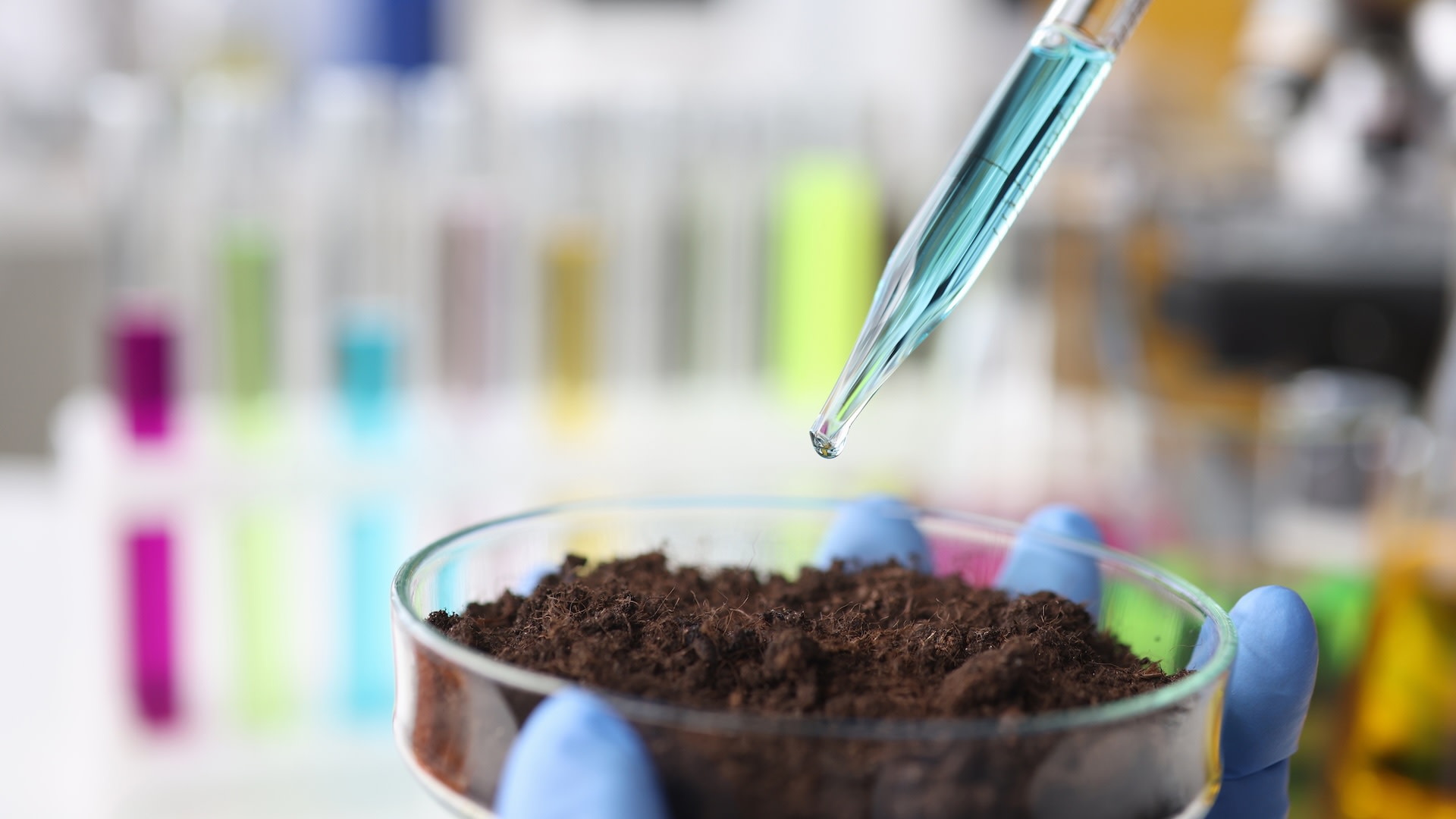 Revolutionary Research Breakthrough Promises to Safeguard Our Food Supply: A Crucial First Step Forward Revolutionary Research Breakthrough Promises to Safeguard Our Food Supply: A Crucial First Step Forward