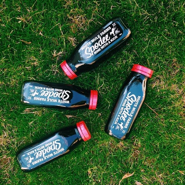 Spodee Wine The Coolector