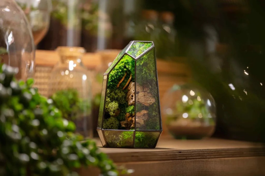 Ome Design Prism Terrarium The Coolector