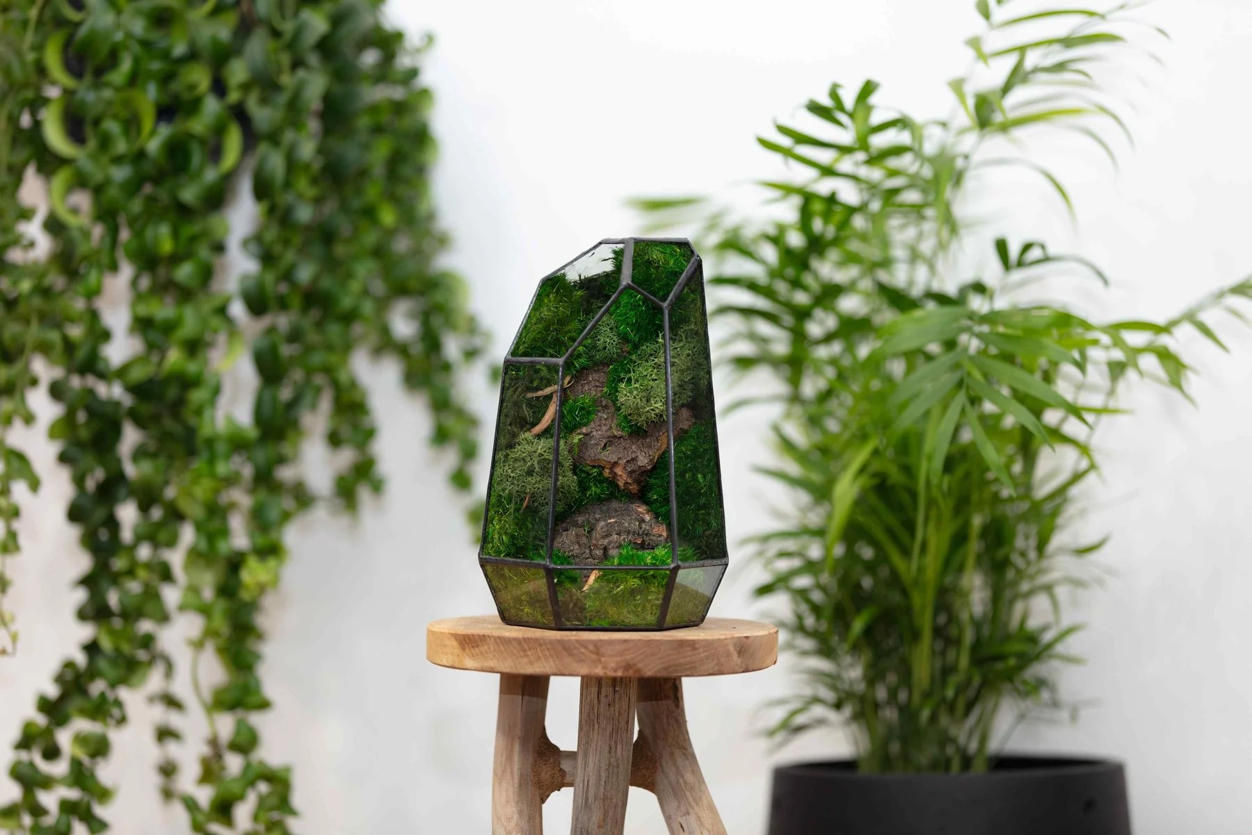 Ome Design Prism Terrarium The Coolector