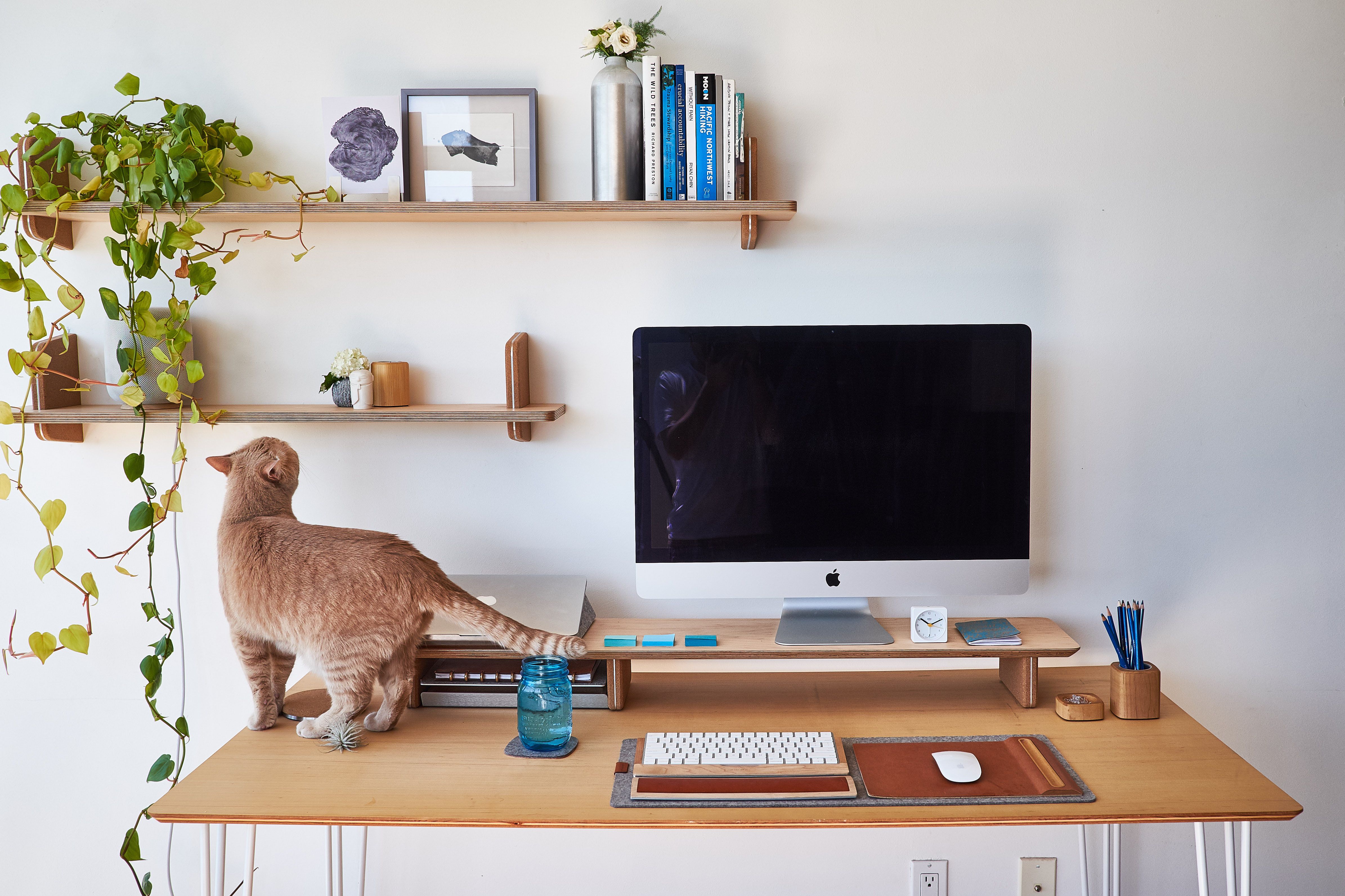 Grovemade Wood Wall Shelves The Coolector