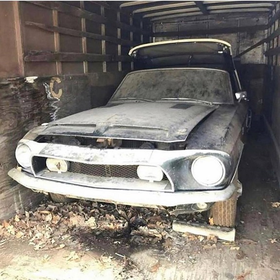 You are visting the best 1968 Shelby webpage