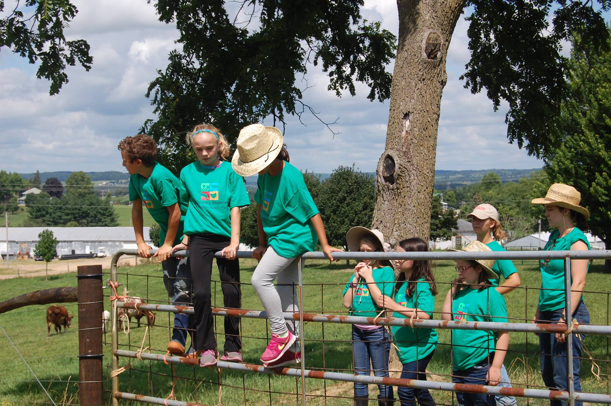 Why Farm Camp The Country Experience