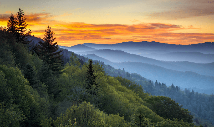 Are Dogs Allowed At Grandfather Mountain