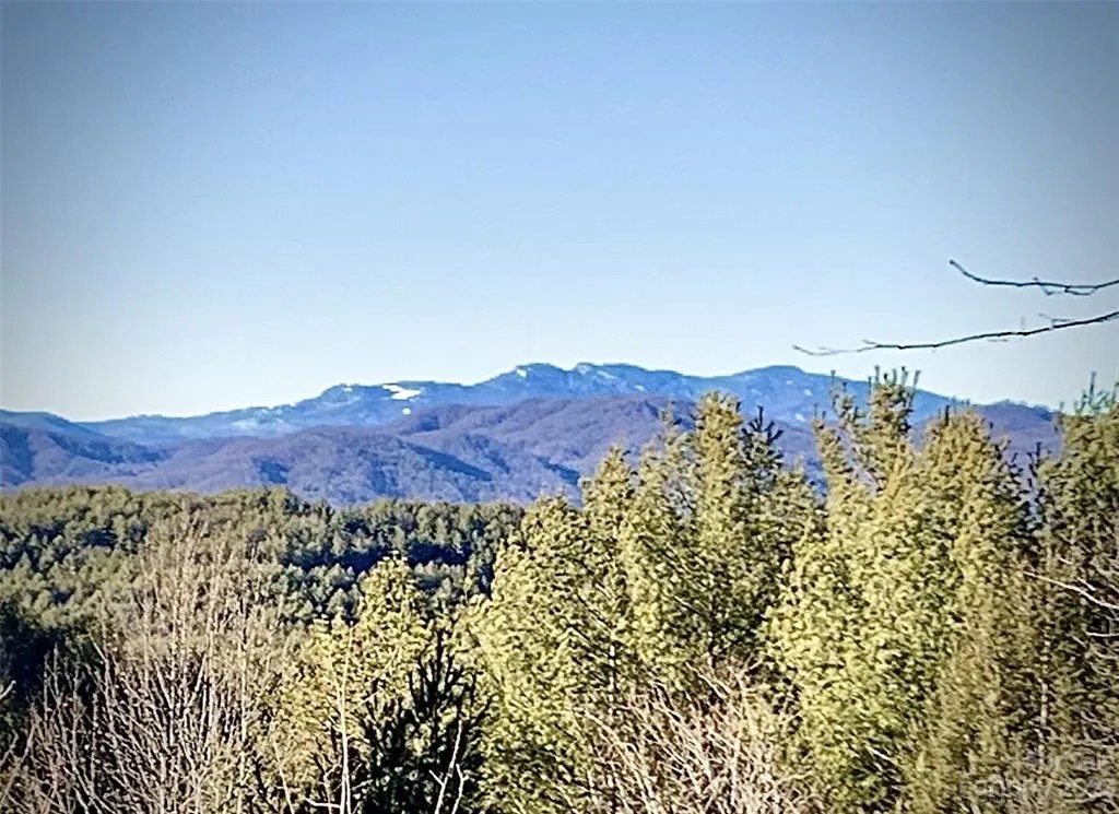 Lot 158 The Coves Mountain River Club