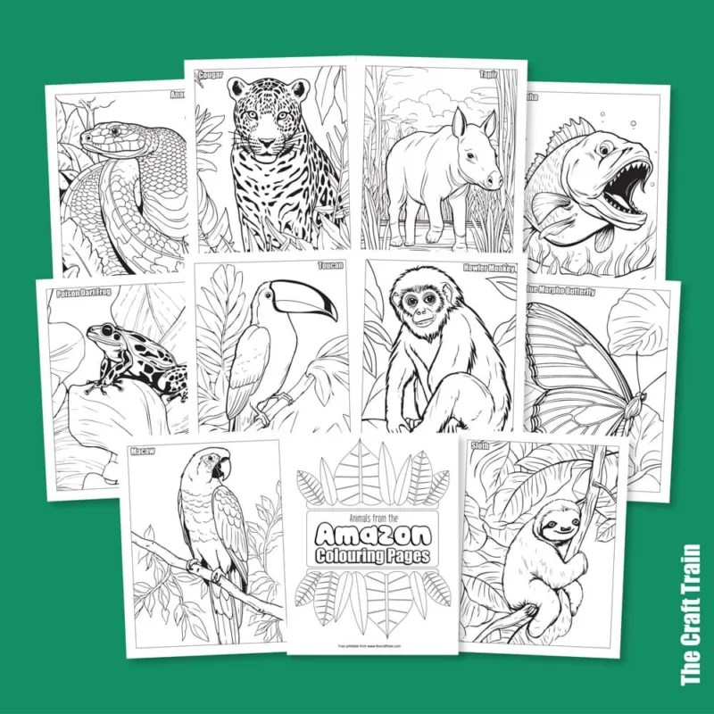 Amazon Animal colouring pages The Craft Train Amazon Animal colouring pages The Craft Train
