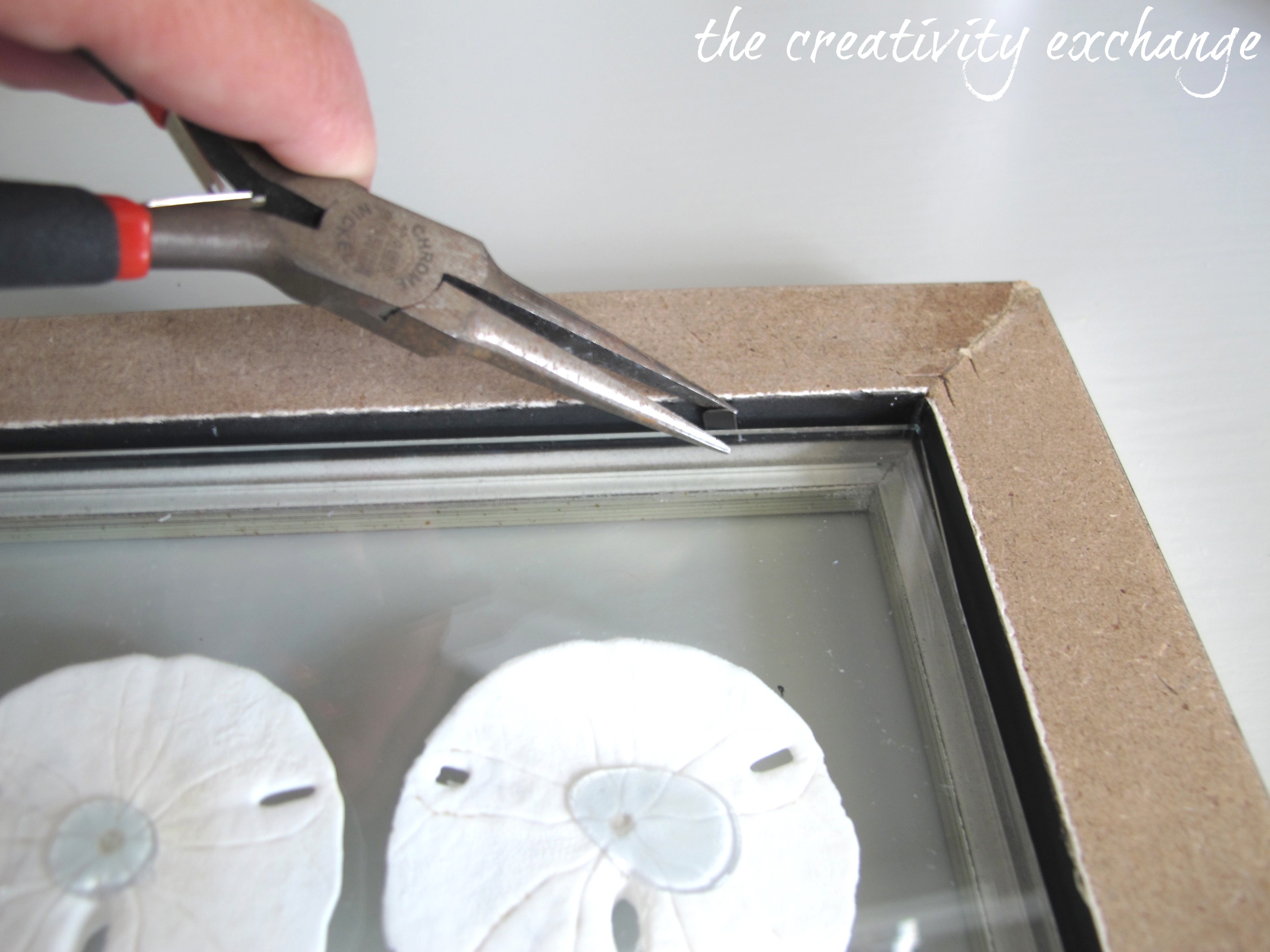 DIY Double Sided Glass Frames for Framing Shells or Dyed Sea Fans