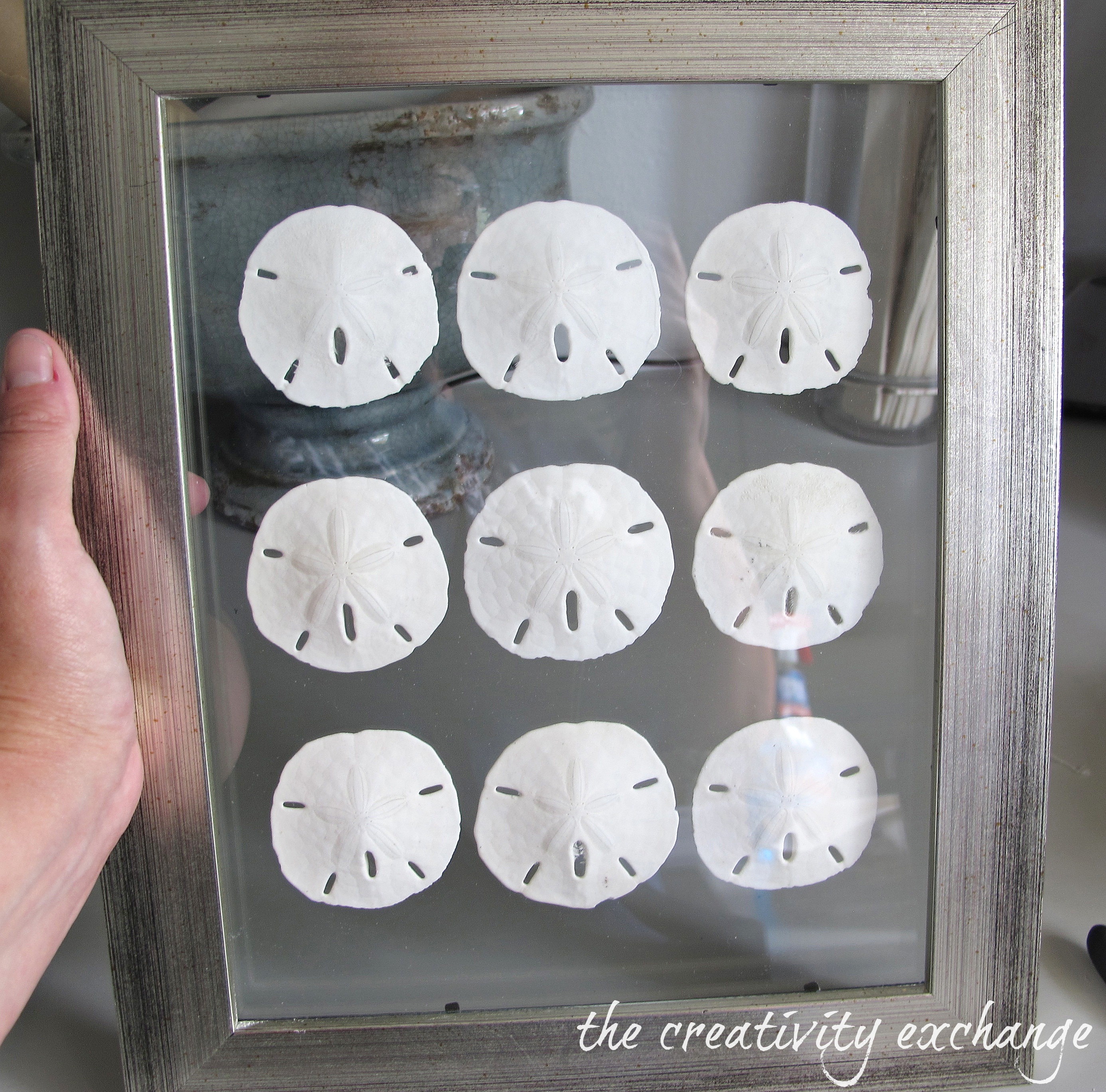 DIY Double Sided Glass Frames for Framing Shells or Dyed Sea Fans