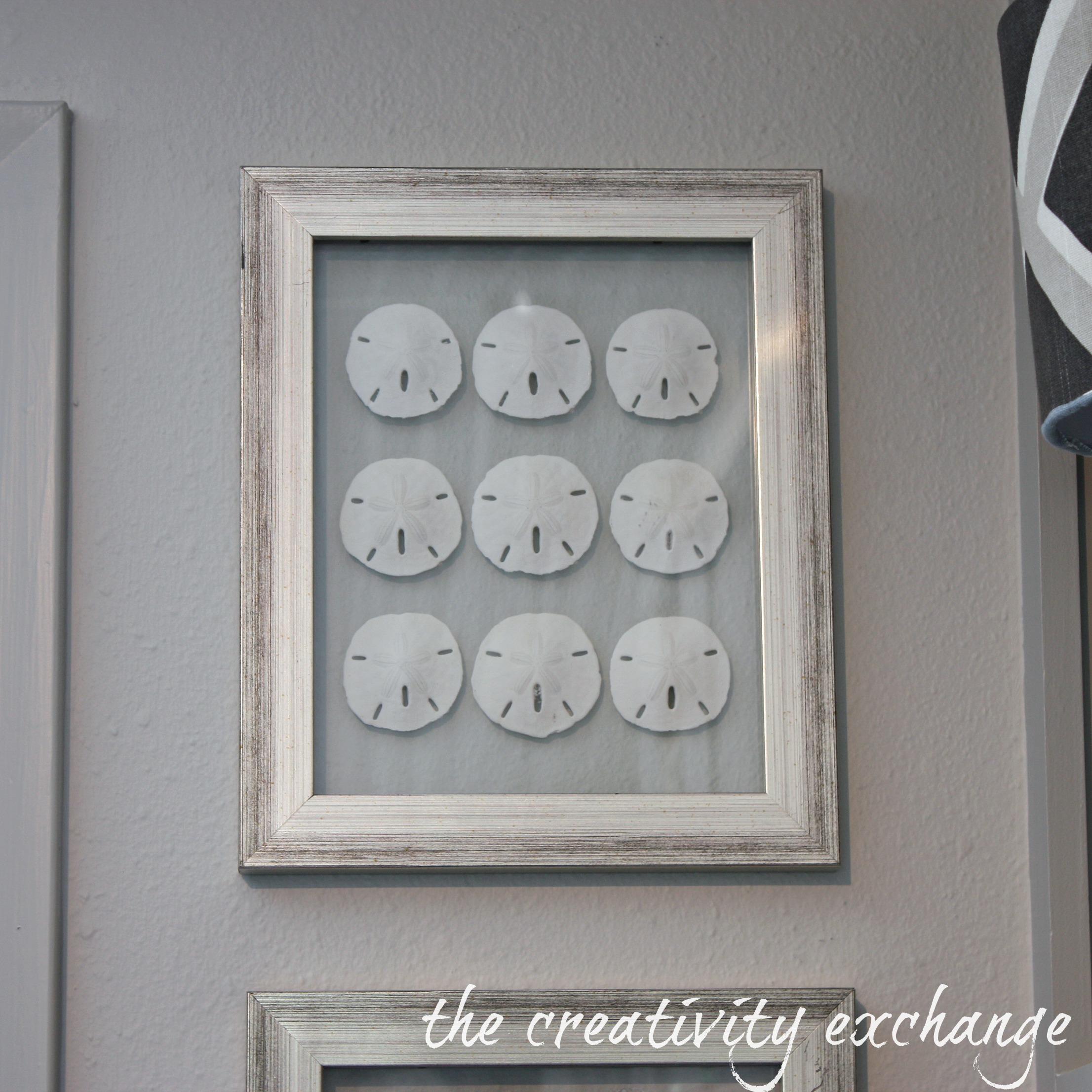 DIY Double Sided Glass Frames for Framing Shells or Dyed Sea Fans