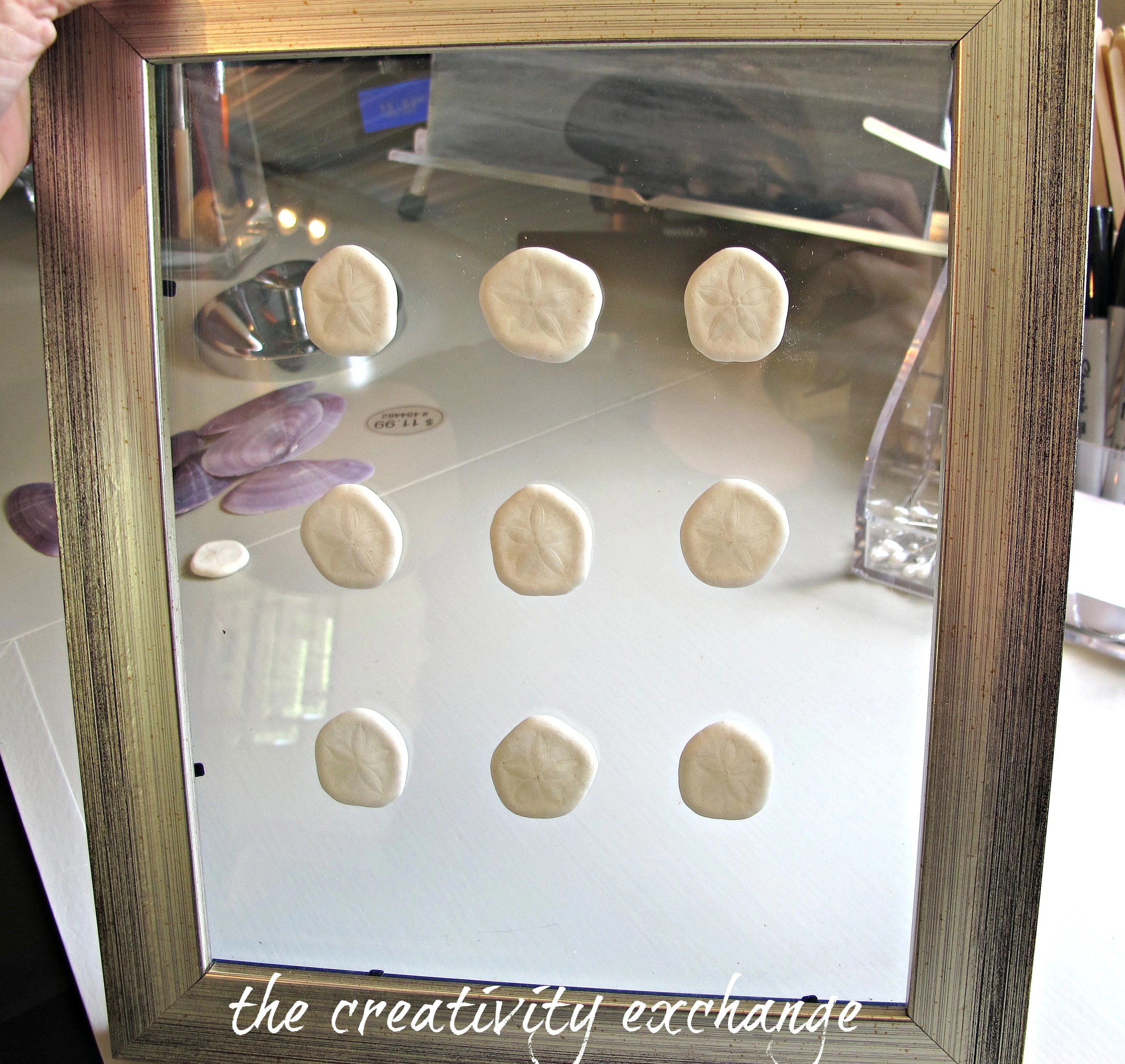 DIY Double Sided Glass Frames for Framing Shells or Dyed Sea Fans