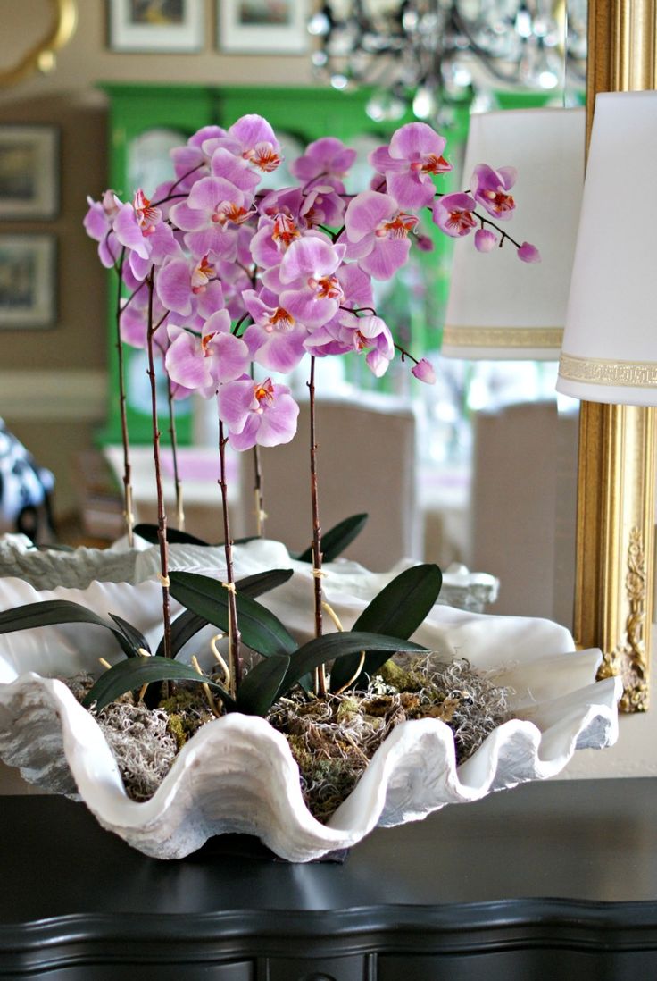 Decorating with Orchids and a Great Trick for Growing Them