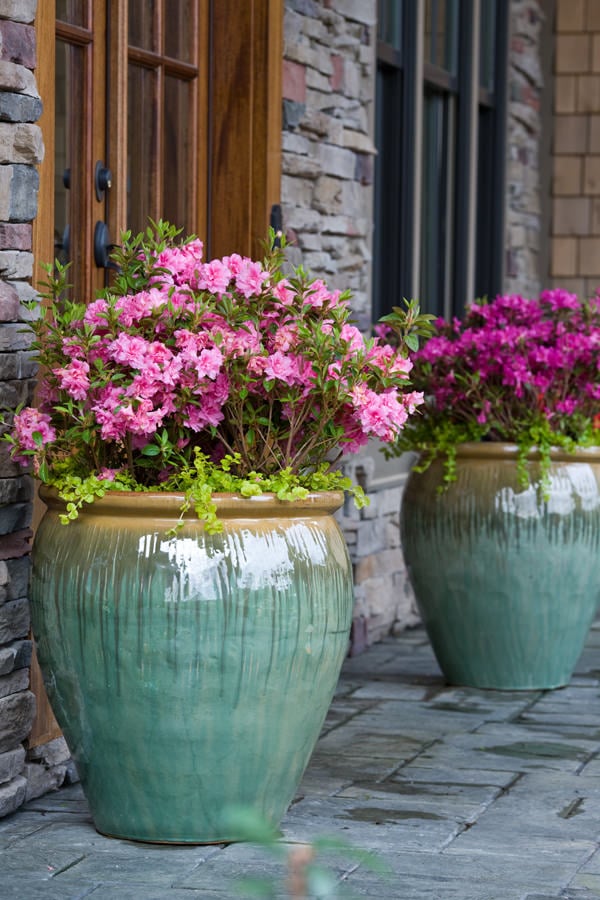 Creative Garden Container Pot Combinations and Tips
