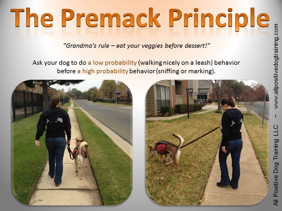 Follow Up The Premack Principle The Crossover Trainer's Blog
