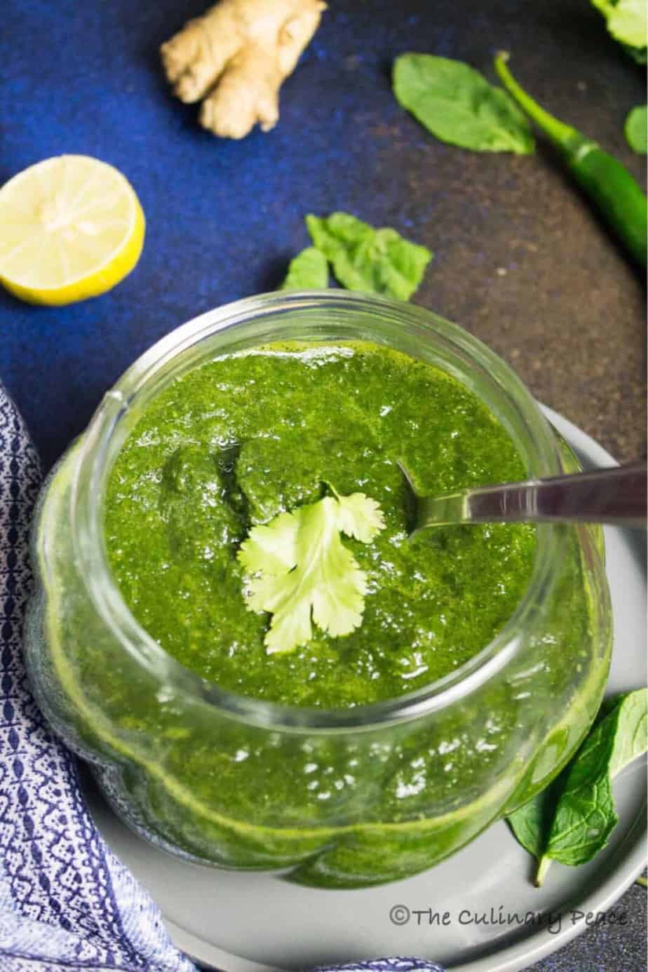 Mint Coriander Chutney Recipe The Culinary Peace