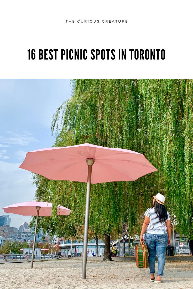 16 Best Picnic Spots in Toronto The Curious Creature