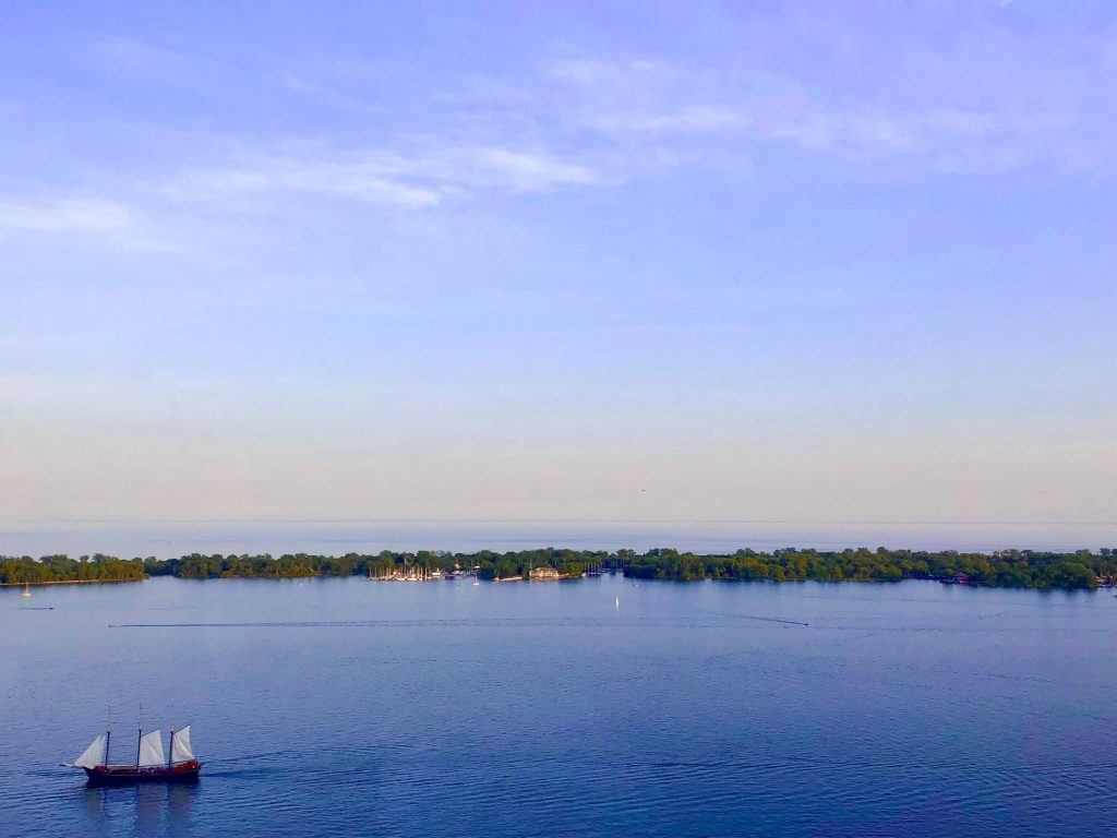 16 Best Picnic Spots in Toronto The Curious Creature