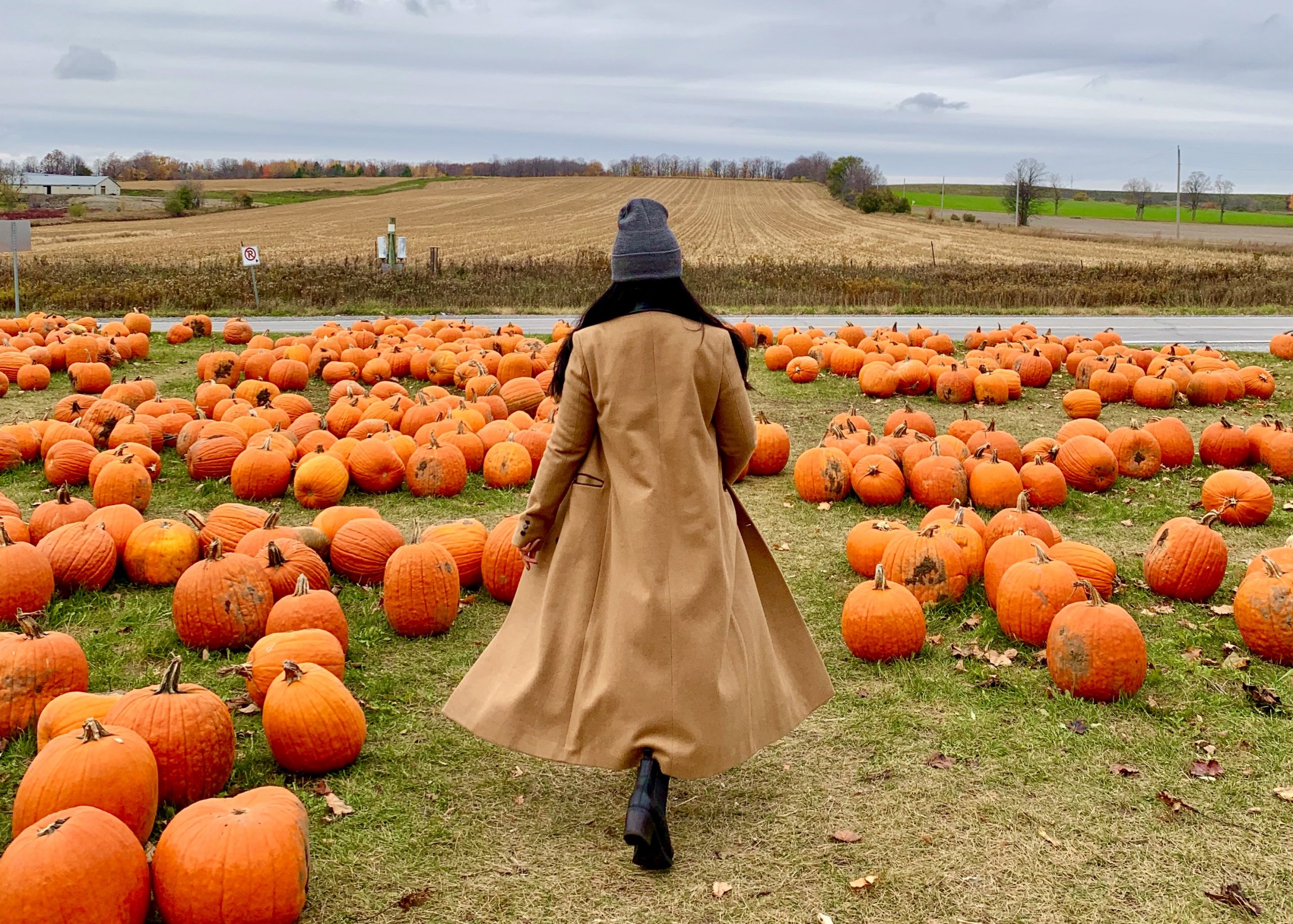 Best Pumpkin Patches Near Toronto The Curious Creature