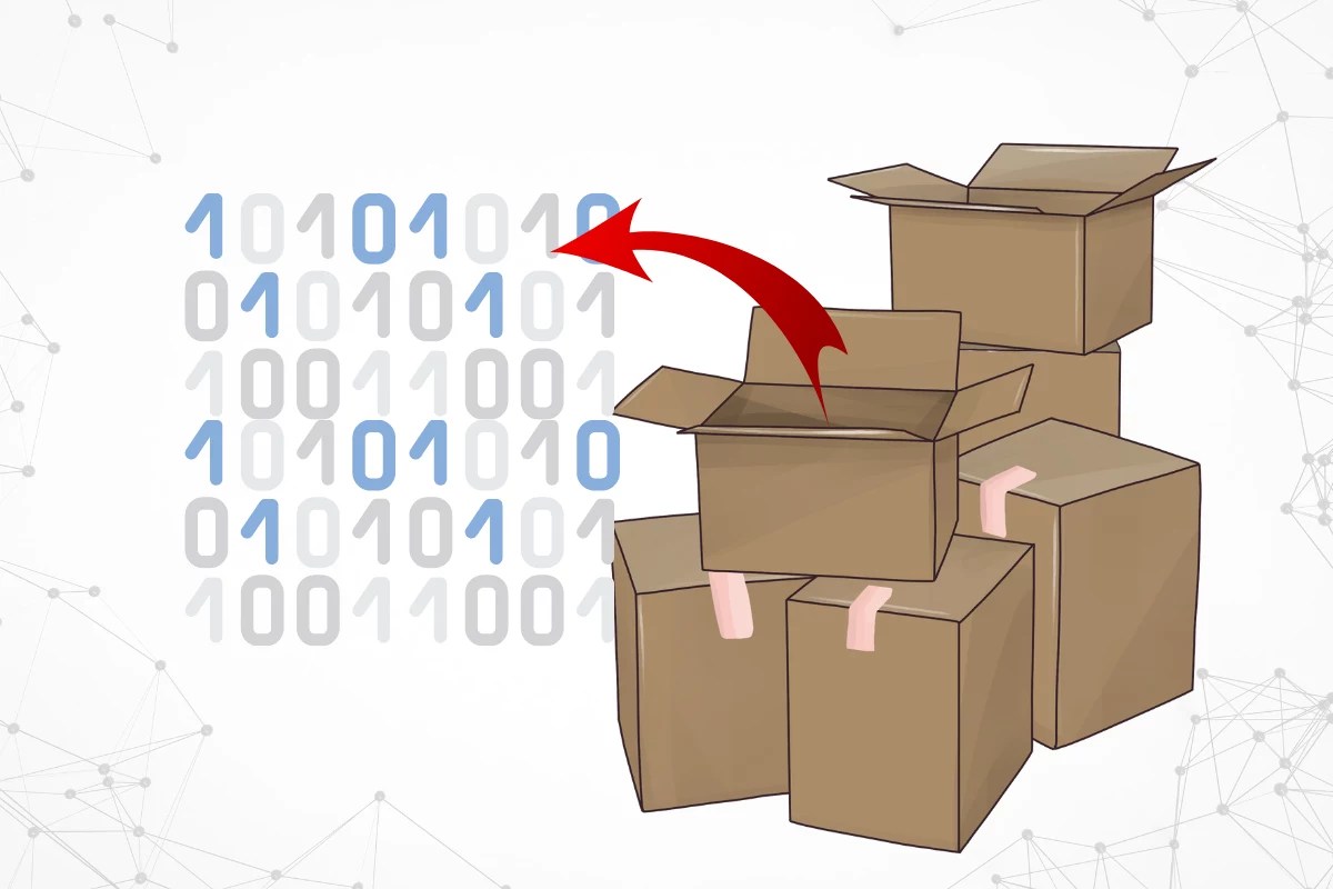 Packaged Software and Custom Software in 2023 Investigation