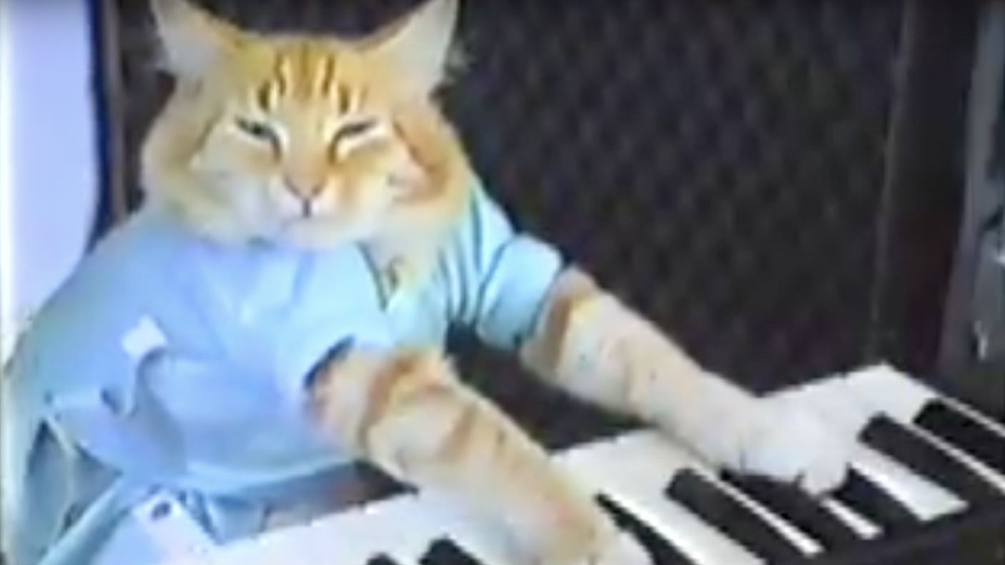 This Day In History November 2 Keyboard Cat Goes Mainstream