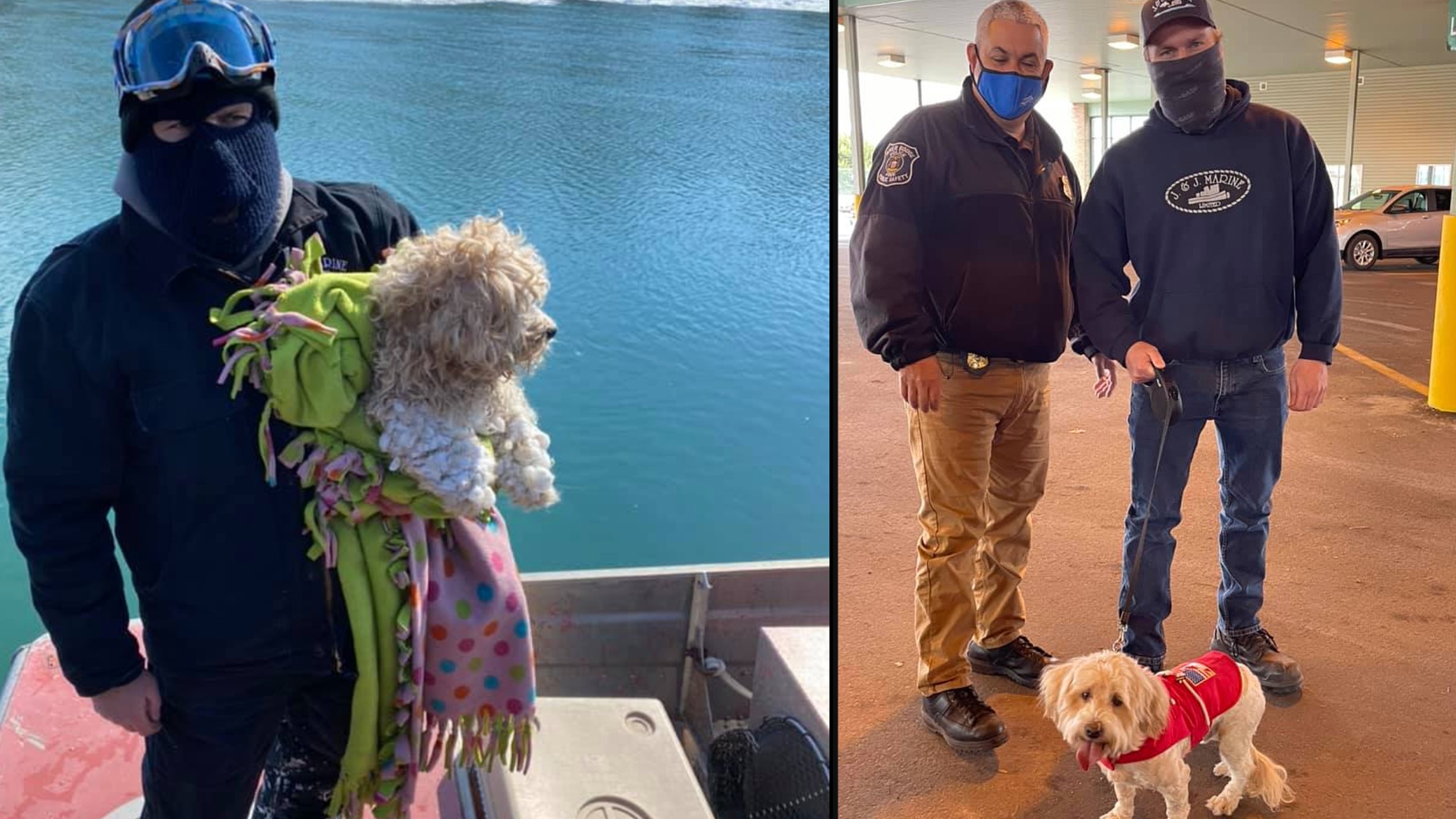Rescuer Adopts ‘Miracle Dog’ Trapped on the Detroit River
