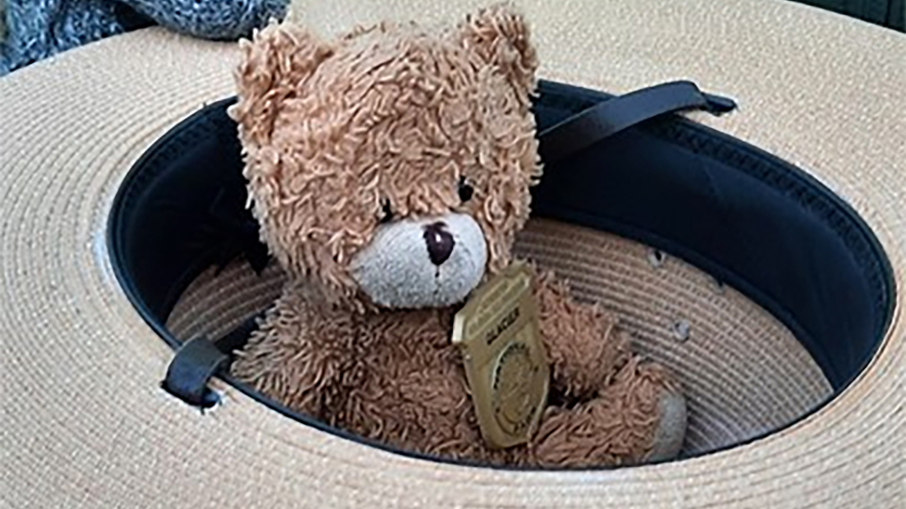 6yo Girl Reunited With Toy One Year After Losing It in a National Park