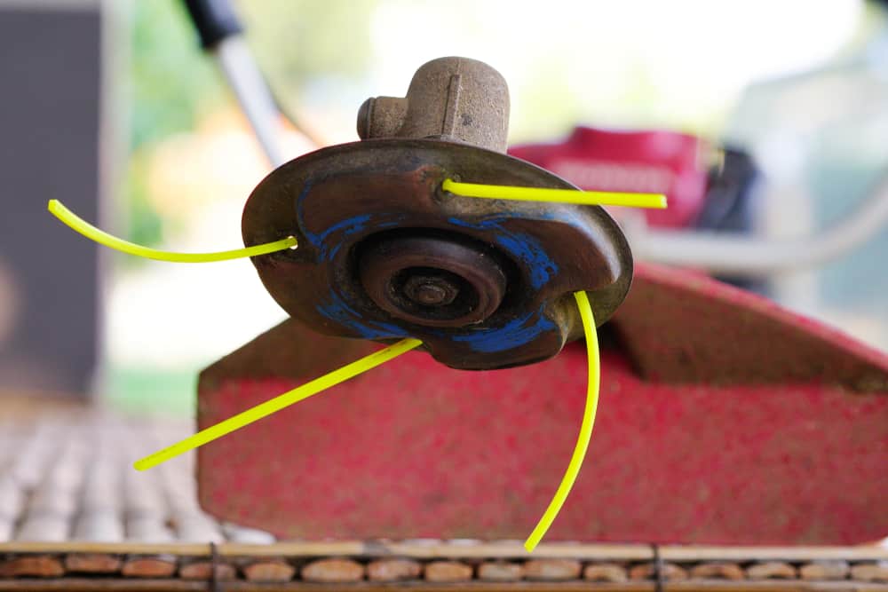 5 Best Weed Eater Replacement Heads of 2021 String Trimmer