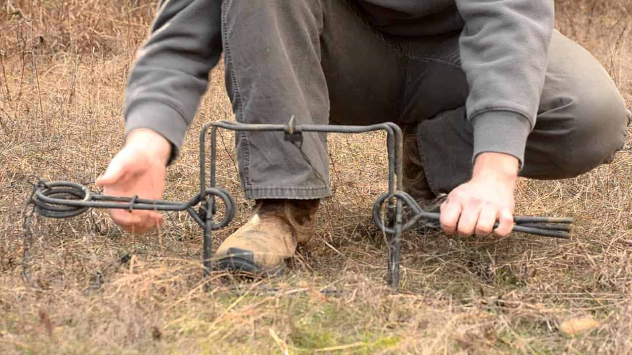 9 Different Types of Animal Traps